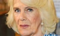 Queen Camilla Releases Emotional Statement Ahead Of Prince Harry, Meghan's New Show