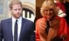 Prince Harry flayed for spewing venom against Queen Camilla