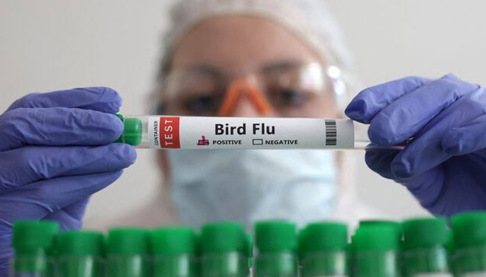 A person holds a test tube labelled Bird Flu, in this picture illustration, January 14, 2023. — Reuters