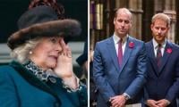 Queen Camilla's Charm Offensive Wins William’s Support, But Leaves Harry 'bored'