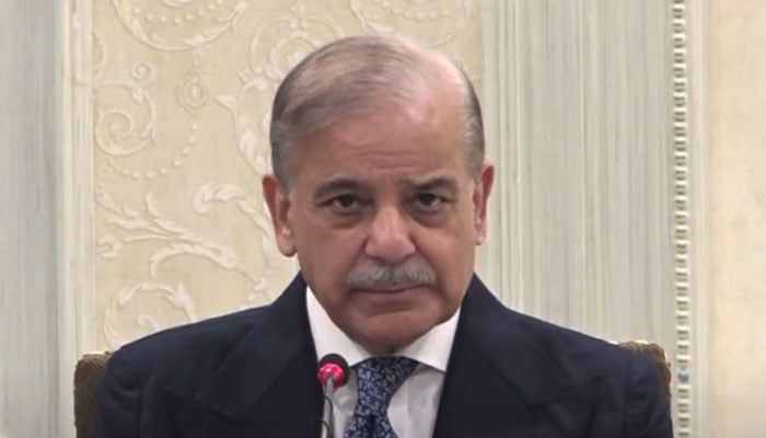 Prime Minister Shehbaz Sharif addresses cabinet meeting after Pakistan Tehreek-e-Insaf (PTI) calls off protest in Islamabad on Wednesday, November 27, 2024. — YouTube screengrab/Geo News Live