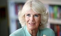 Queen Camilla Holds Key Meeting At Buckingham Palace With 'changemakers'