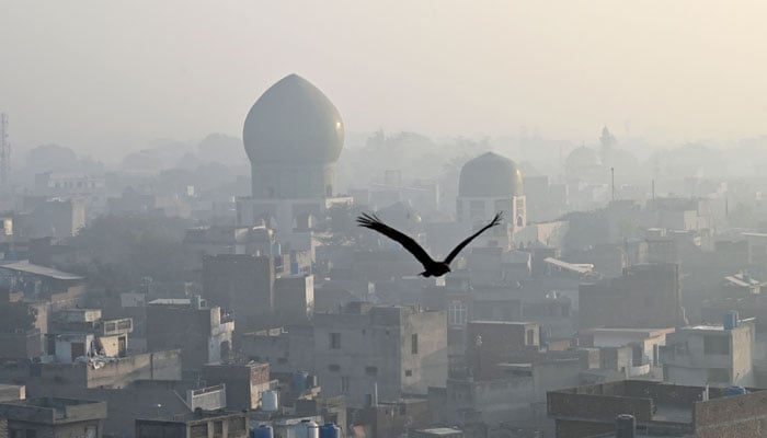 This aerial view shows a residential area covered under heavy smog during the morning in Lahore on November 26, 2024. — AFP