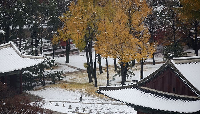 A woman takes a walk at the snow-covered Deoksugung Palace after a heavy snowfall in Seoul, South Korea, November 28, 2024. — Reuters