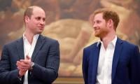 Prince Harry And William Face Heat For 'cashing In' On Palace Privileges