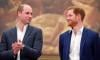 Prince Harry and William face heat for 'cashing in' on Palace privileges