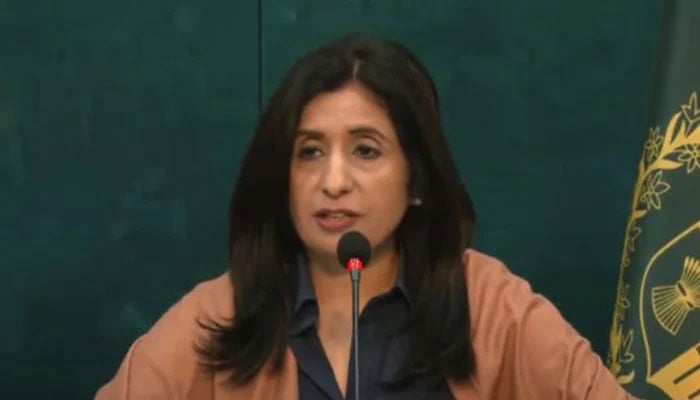 Foreign Office Spokesperson Mumtaz Zahra Baloch is addressing her weekly press briefing in Islamabad on August 29, 2024. —Screengrab via YouTube/ Geo News