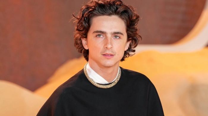 Timothee Chalamet’s Unexpected Path to Hollywood Success