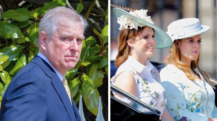 Prince Andrew will get final probability to avoid wasting Royal Lodge for Beatrice, Eugenie