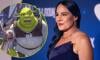 ‘Shrek’ director makes shocking confession about movies’s success