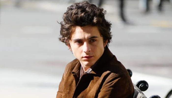 Timothée Chalamet plays Bob Dylan in biopic titled A Complete Unknown