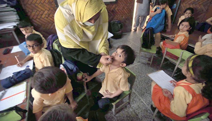 A female polio health worker administers polio drops to a child in a school in Peshawar during the anti-polio vaccination campaign aimed at eradicating polio in the provincial capital on October 28, 2024. — APP