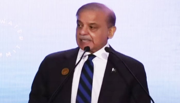 Prime Minister Shehbaz Sharif addresses “One Water Summit” in Riyadh on December 3, 2024. — Geo News/screengrab