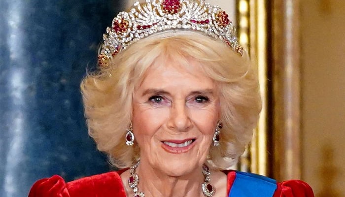 Queen Camilla takes sensible decision about health update message