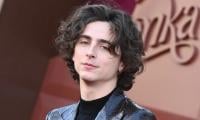 Timothée Chalamet Gushes About Playing Bob Dylan During Gotham Awards Honour