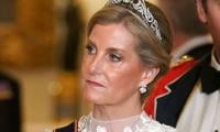 Duchess Sophie Opts For Special Tiara As Kate Middleton Skips State Banquet