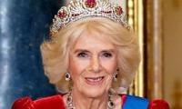 Queen Camilla Takes Sensible Decision About Health Update Message 