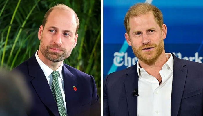 Prince William, Prince Harry reunite to mark significant milestone