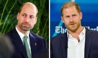 Prince William, Prince Harry Put Differences Aside For Beloved Princess