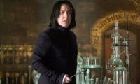 'Harry Potter' Upcoming Series Finds Its Potential 'Severus Snape'