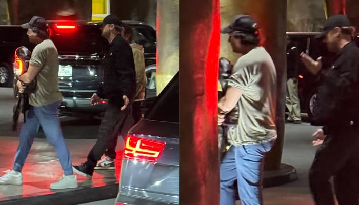 Leonardo DiCaprio enjoys night out without girlfriend Vittoria Ceretti