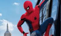 'Spider-Man 4' Divides Internet With 'great' Choice Of Director