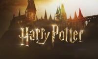 ‘Harry Potter’ HBO Series Rumoured To Cast Big Names For Major Roles