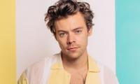 Harry Styles Attempt To Buy New Home 'fails'