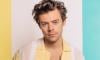 Harry Styles attempt to buy new home 'fails'