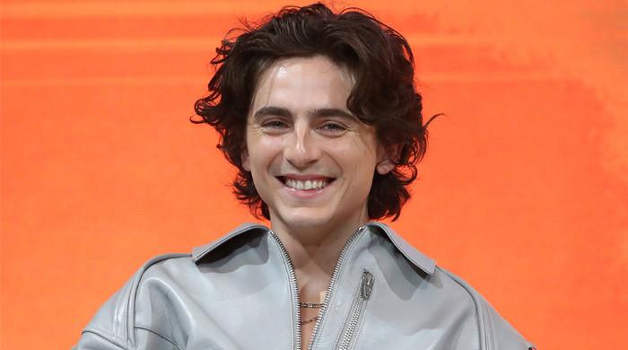 Timothée Chalamet wows followers with hidden experience past performing