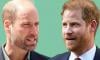 Prince William delivers bitter 'kick in the teeth' for Prince Harry