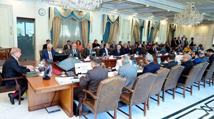 Federal cabinet okays eight IPPs settlement agreements