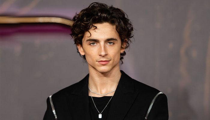 The upcoming Bob Dylan biopic A Complete Unknown stars Timothée Chalamet in the leading role