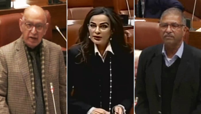 (From Left to Right) PML-N Senator Irfan Siddiqui, PPP Senator Sherry Rehman and PTI Senator Barrister Ali Zafar speaking on floor of upper house of parliament, Islamabad, December 12, 2024. — Screengrab via YouTube/Geo News