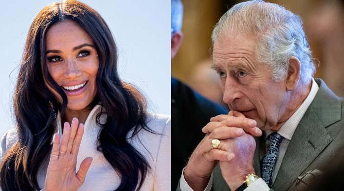 Meghan Markle decides to ‘win again’ King Charles’ coronary heart in 2025