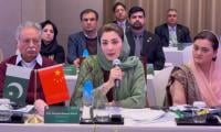 CM Maryam Invites Chinese Tech Companies To Invest In Punjab