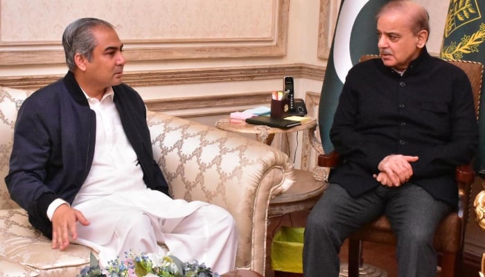 Federal Minister for Interior Mohsin Naqvi in a meeting with Prime Minister Shehbaz Sharif in Lahore on December 8, 2024. — INP