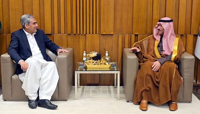 Interior Minister Mohsin Naqvi meets Saudi Minister of State for Interior Dr Khalid Mohammed Abdullah Al Battal in Riyadh on Sunday, December 15, 2024. —  APP