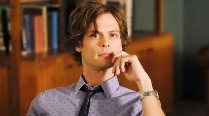 Matthew Gray Gubler delights followers with look in well-known function