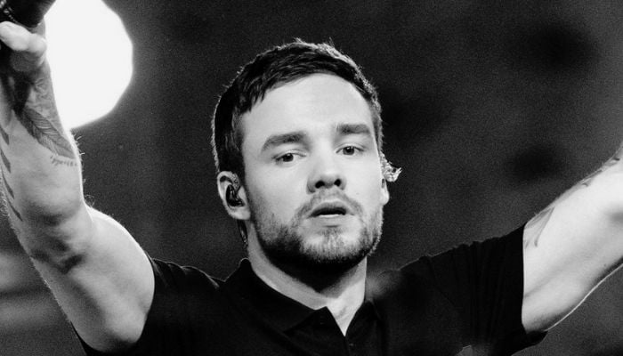 Liam Payne met his demise after falling from a building in Buenos Aires.