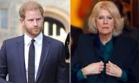 Prince Harry's Christmas Absence Harder To Ignore After Queen Camilla’s Invitation