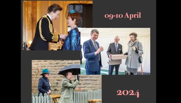 Princess Anne Iron Lady: A Year of Resilience and Global Impact in 2024