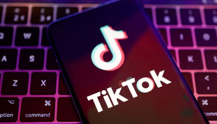 TikTok app logo is seen in this illustration taken, August 22, 2022. — Reuters