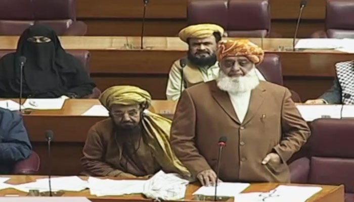 Jamiat Ulema-e-Islam-Fazl (JUI-F) chief Maulana Fazlur Rehman addressing the National Assembly on December 17, 2024. —Screengrab/ Geo News