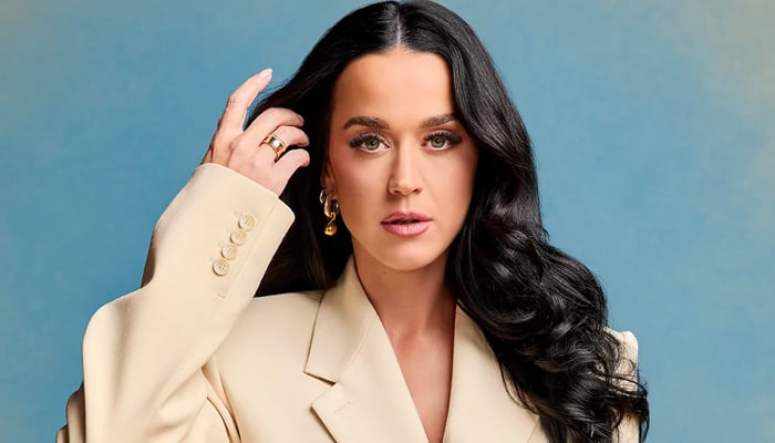 Katy Perry dazzles fans with show stopping appearance