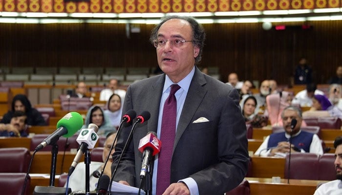 Finance Minister Senator Muhammad Aurangzeb speaks on the floor of the National Assembly on June 25, 2024. — APP