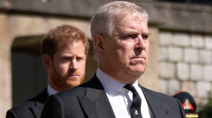 Prince Andrew punished for up to date ‘mistake’