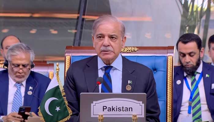 Prime Minister Shehbaz Sharif addressing D-8 Summit in Cairo, Egypt, December 19, 2024. — Radio Pakistan