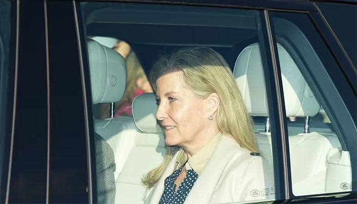 Duchess Sophie makes a festive entrance at Palace lunch.