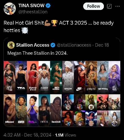 Megan Thee Stallion confirms new album set for 2025: Be ready Hotties